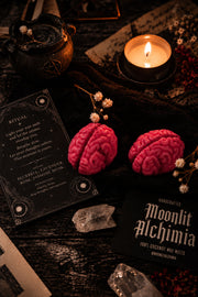 Melted Brains