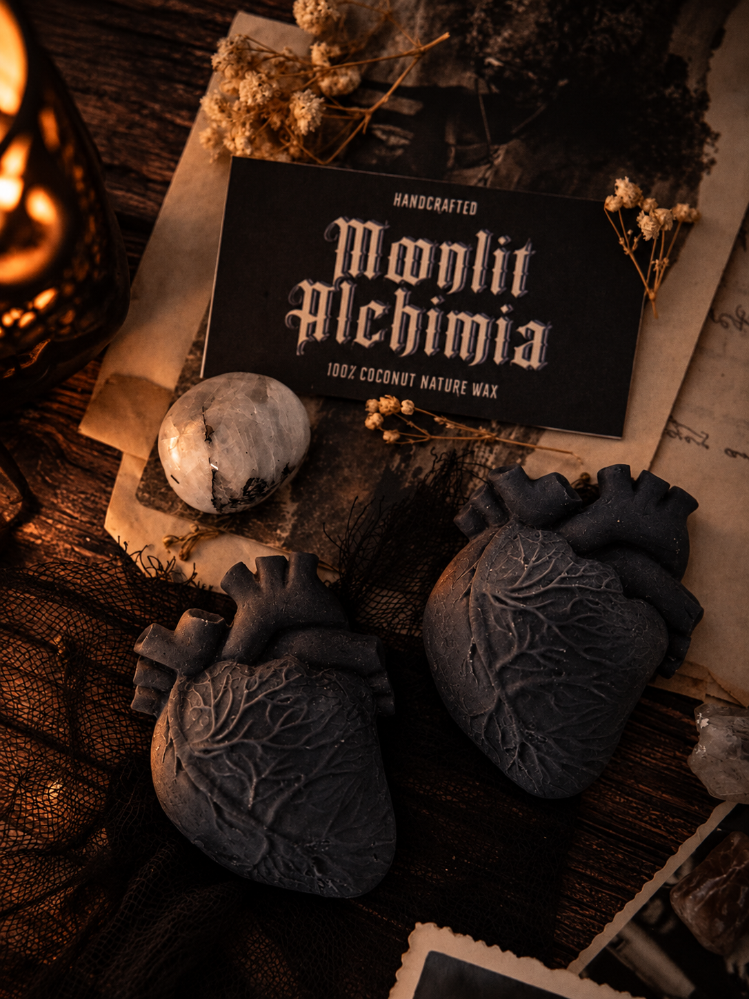Anatomical Hearts