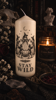 Stay Wild