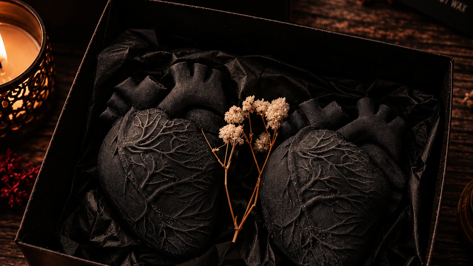 Anatomica collection